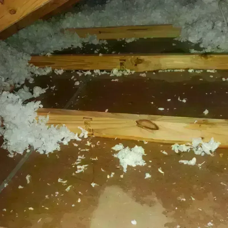 Attic Water Damage in Castle Hills, TX