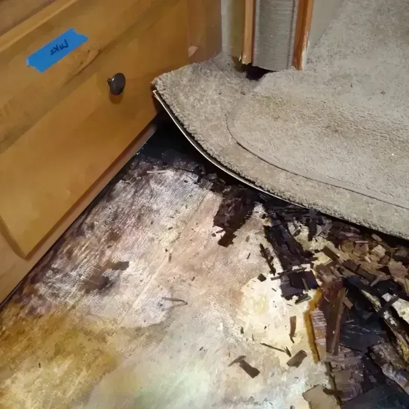 Wood Floor Water Damage in Castle Hills, TX